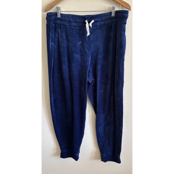 J.CREW Pants - J. Crew Factory 90s Y2K Cropped Jogger Pants Midnight Blue Velour Women's XL